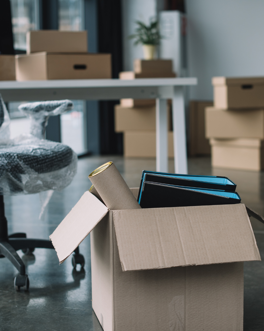 Move-Ups & Relocations